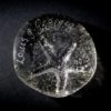 Memory Pebbles