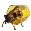 Hive